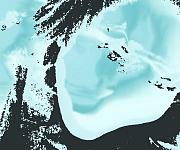20230203_024822_sisters.jpg