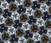 20230202_173447_kaleidoscope.jpg