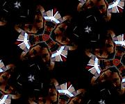 20230131_152843_kaleidoscope-2.jpg