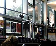 20230202_142559_timedisplacement.jpg