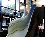20230202_172453_timedisplacement.jpg